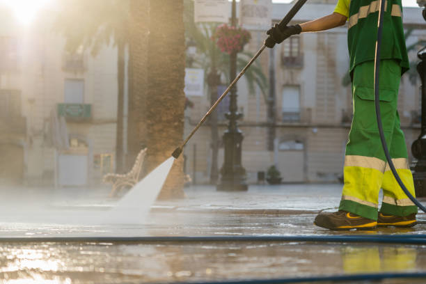 Best Roof Pressure Washing  in Ixonia, WI