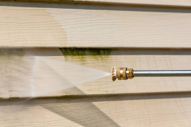Best Power Washing Near Me  in Ixonia, WI